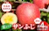 青森県 藤崎町 訳あり 産地直送 葉とらずサンふじ 1