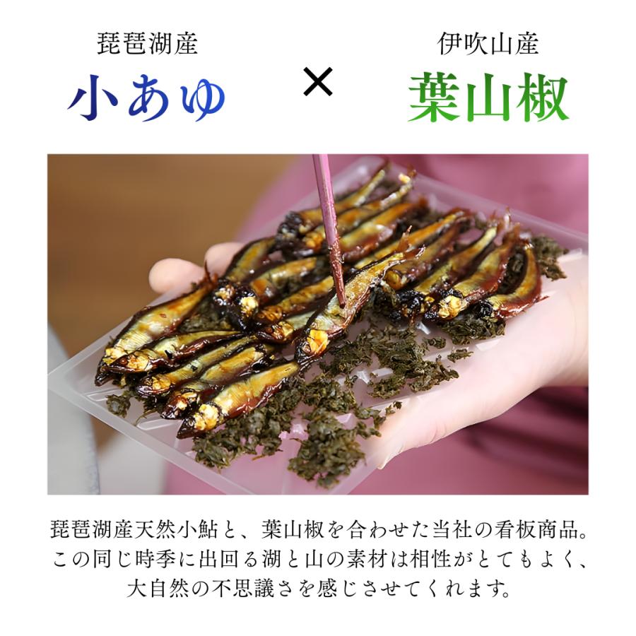 小あゆ木の芽煮 3