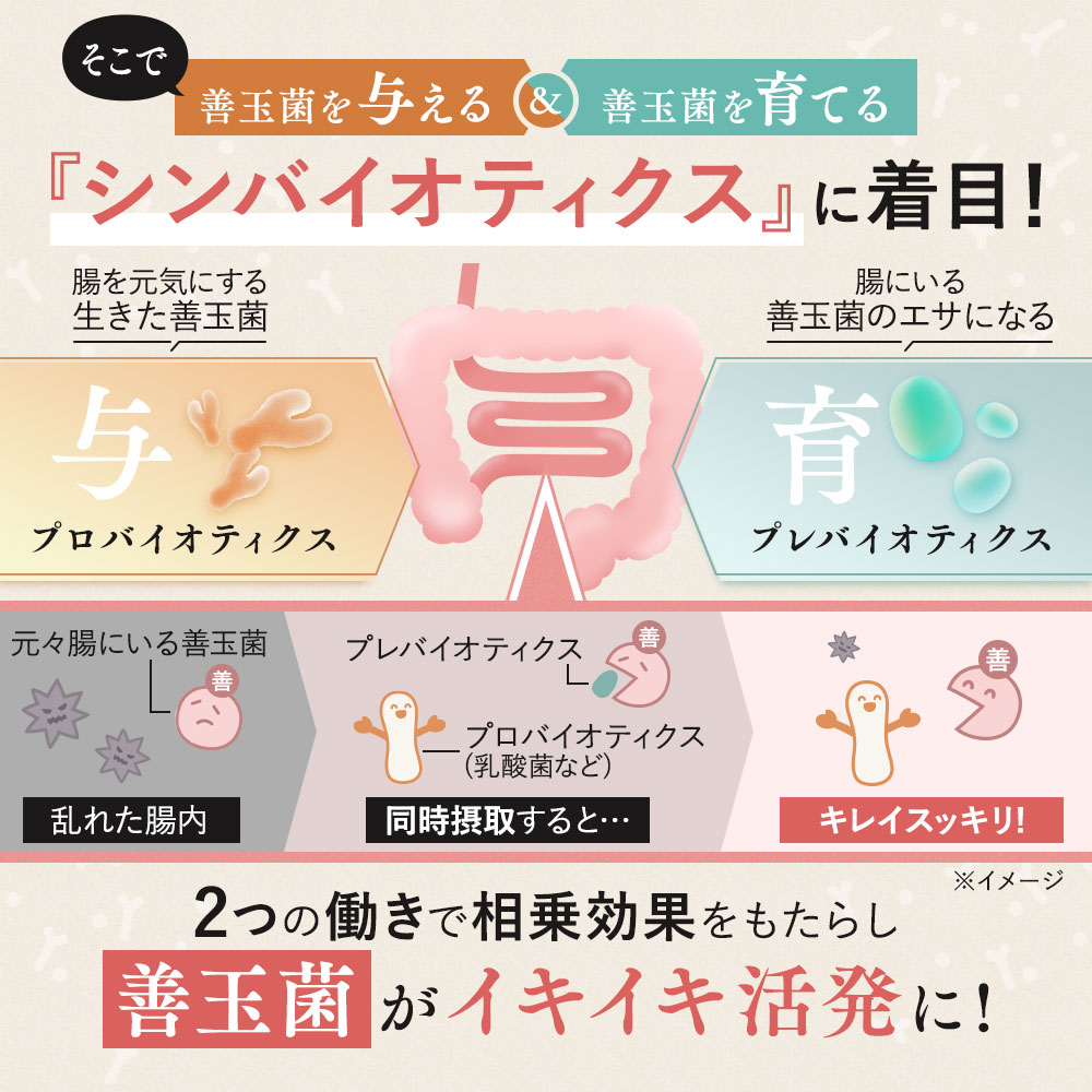 コンブチャ 粉末 4種のフルーツ味セット 5