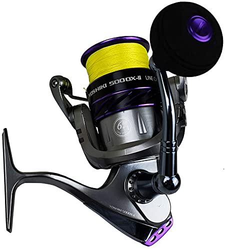 海外ダイワ DAIWA18PROREX V LT2500-XH S8a6024c39f194d499a4f8a0124622
