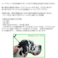 2022年】犬用ハーフチョークのおすすめ人気ランキング20選 | mybest