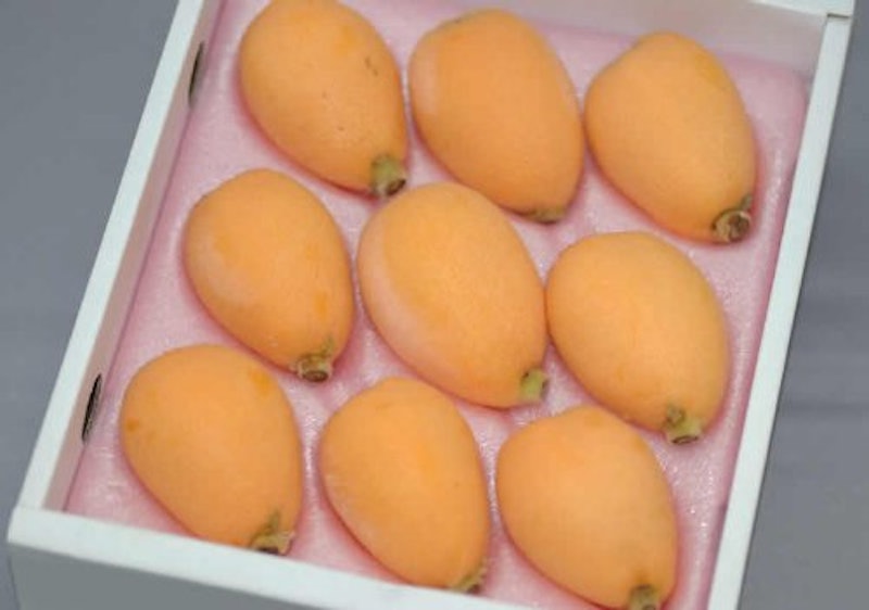 茂木びわ 3