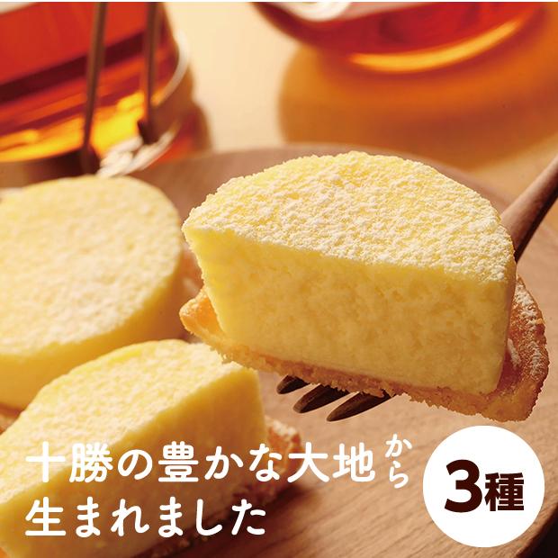 十勝ナチュラルチーズケーキセット 1