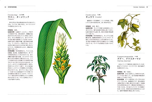 イギリス王立植物園キューガーデン版 世界薬用植物図鑑 3