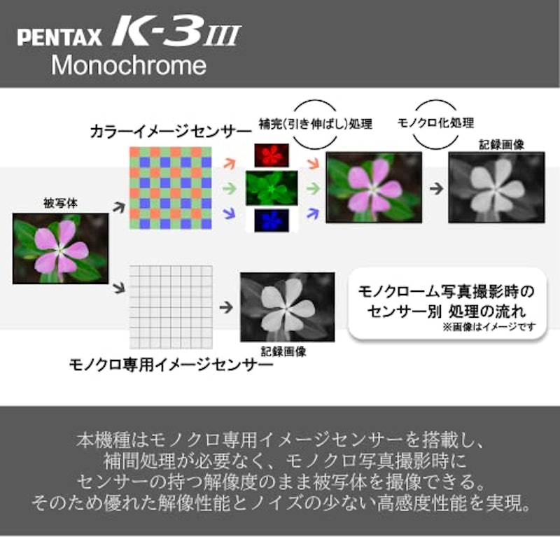 K-3 Mark III Monochrome 3