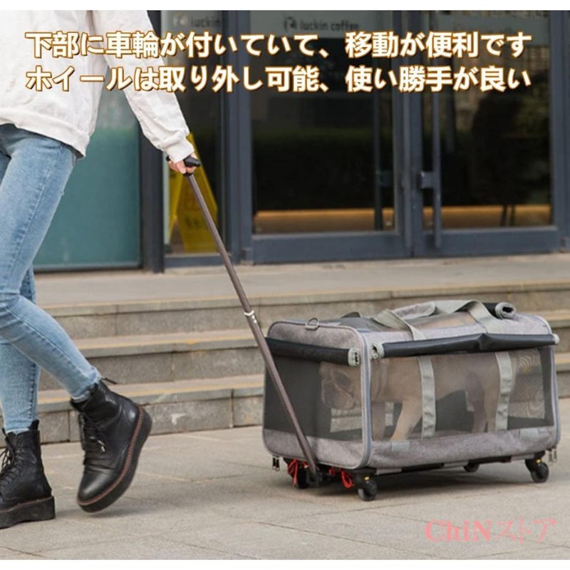 キャリーバッグ 6