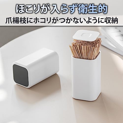 爪楊枝ケース 6
