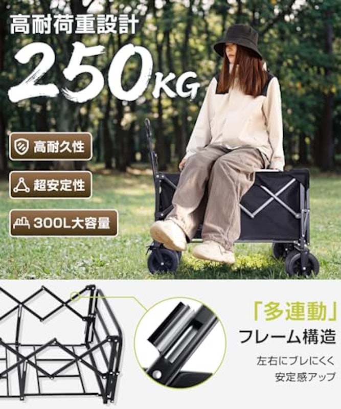 キャリーワゴン 3