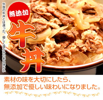 牛丼の具 2