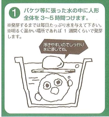 イタリアンライグラス（牧草）の楽しい栽培キット のび～るくん 5