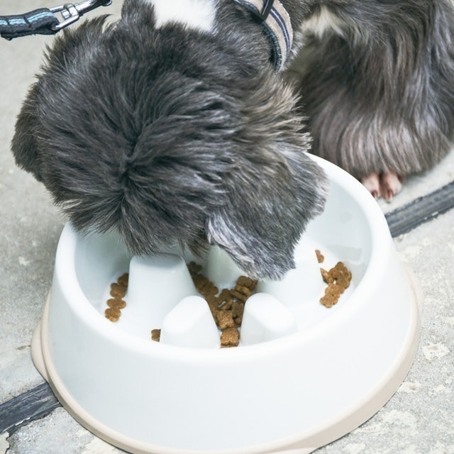 アイリスオーヤマ 早食い防止食器を全10商品と比較 口コミや評判を実際に使ってレビューしました Mybest アイリスオーヤマ 早食い防止食器を全10商品と比較 口コミや評判を実際に使ってレビューしました Mybest