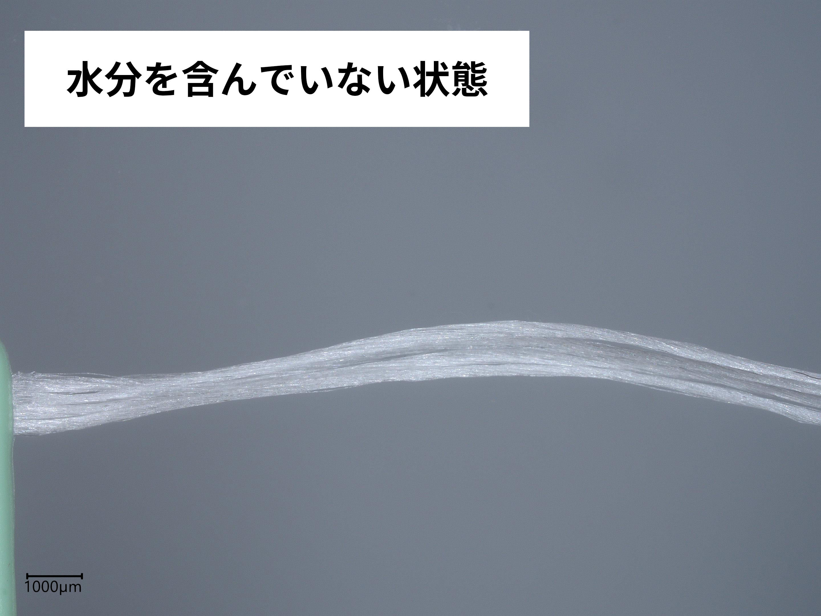 糸ようじ スルッと入るタイプ 4
