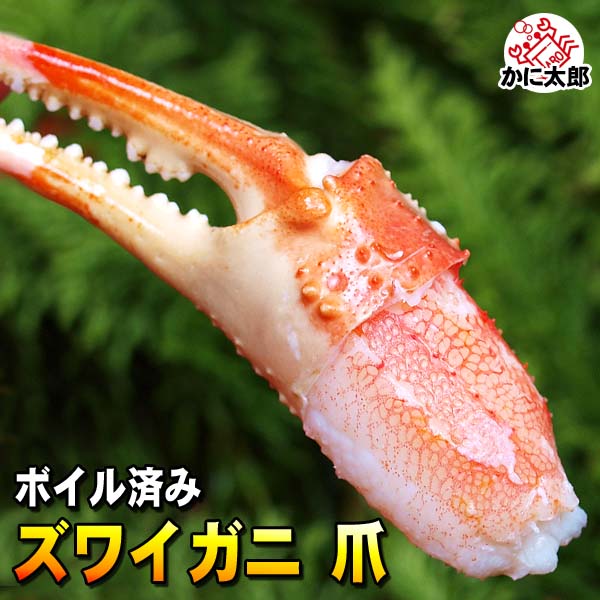 ズワイガニ　爪 1