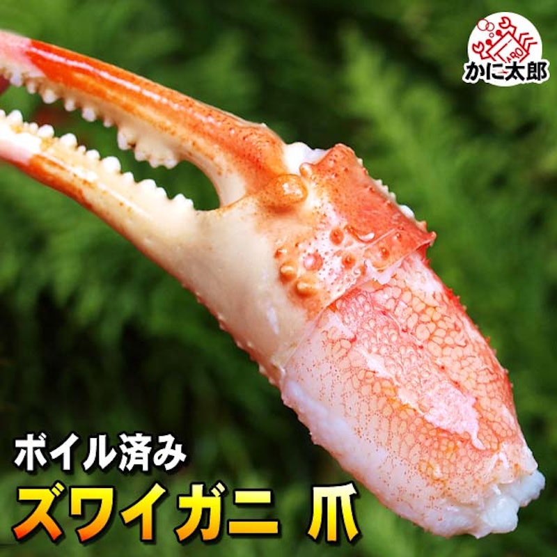 ズワイガニ 爪 1