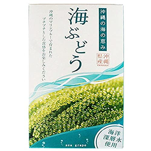 海ぶどう 1