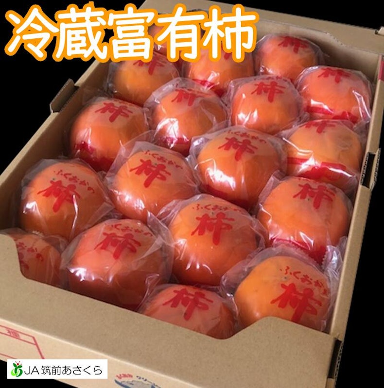JA筑前あさくら 冷蔵富有柿 1