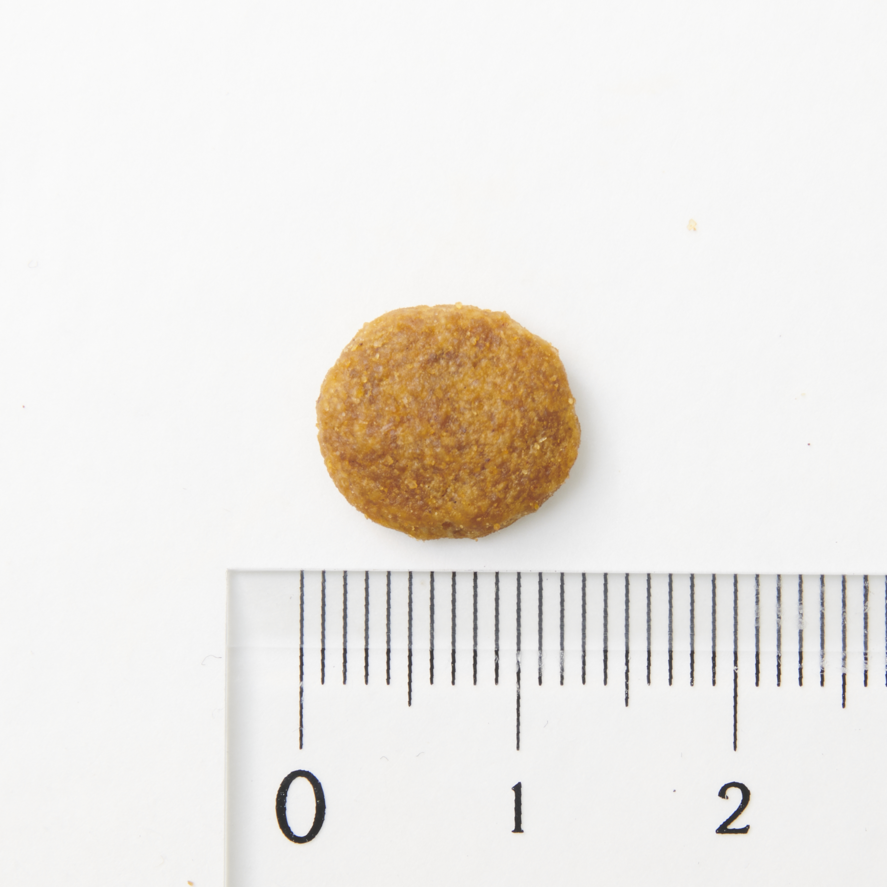 健康サポート チキン小粒 7歳以上用 6
