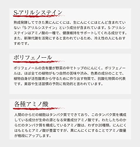 熟成黒にんにくサプリメント 4