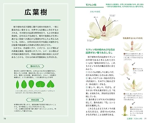 見わけがすぐつく樹木図鑑 3