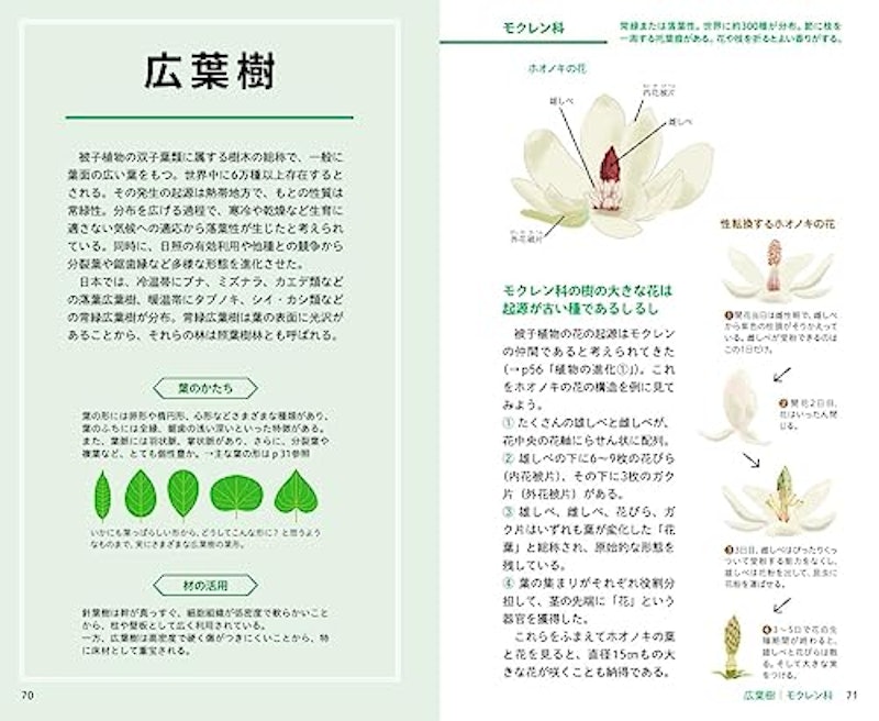 見わけがすぐつく樹木図鑑 3