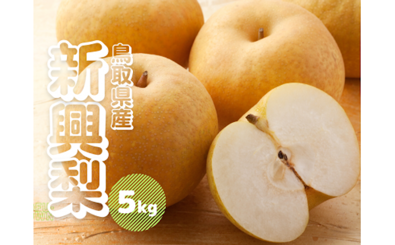 新興梨 1