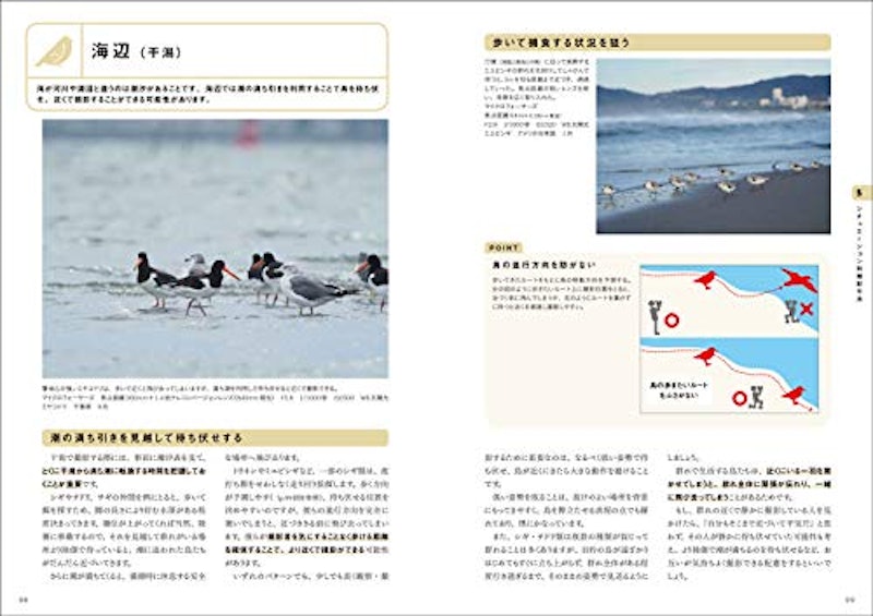 図解でわかる野鳥撮影入門 6