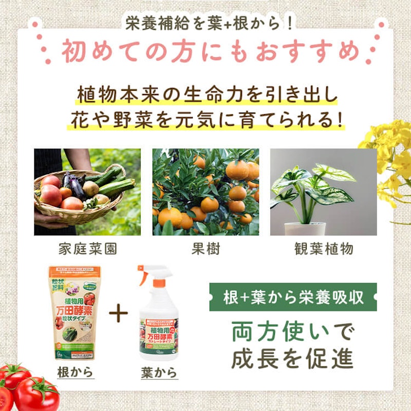 植物用万田酵素 2