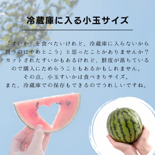 小玉すいか  4