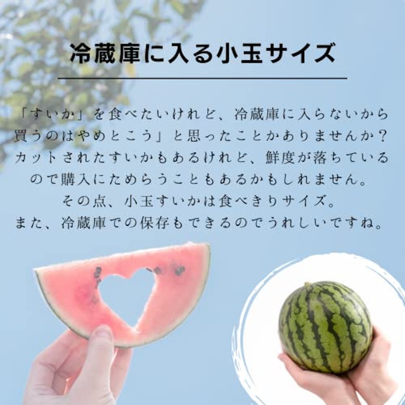 小玉すいか 4