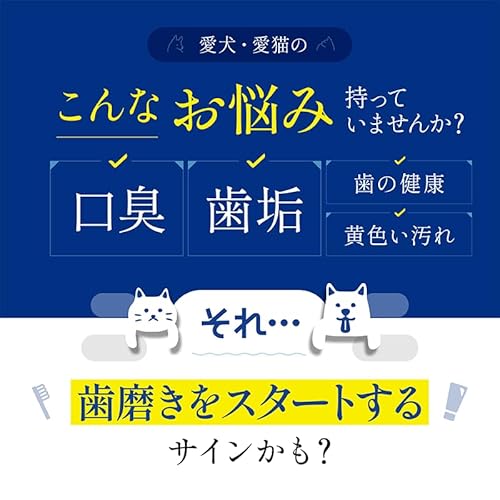 ドクターアニマポート 2