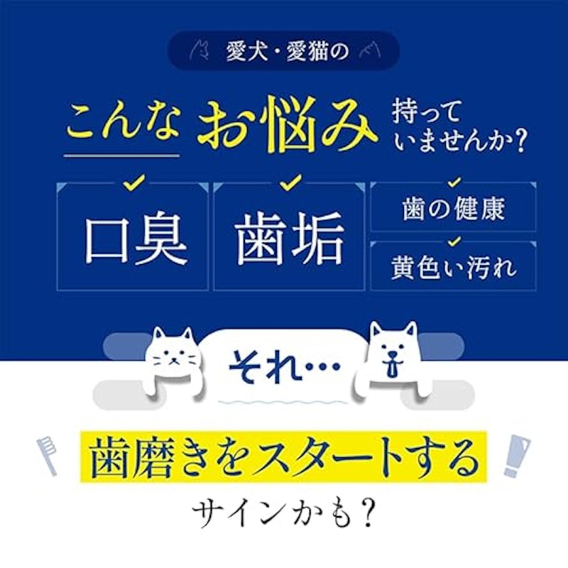 ドクターアニマポート 2