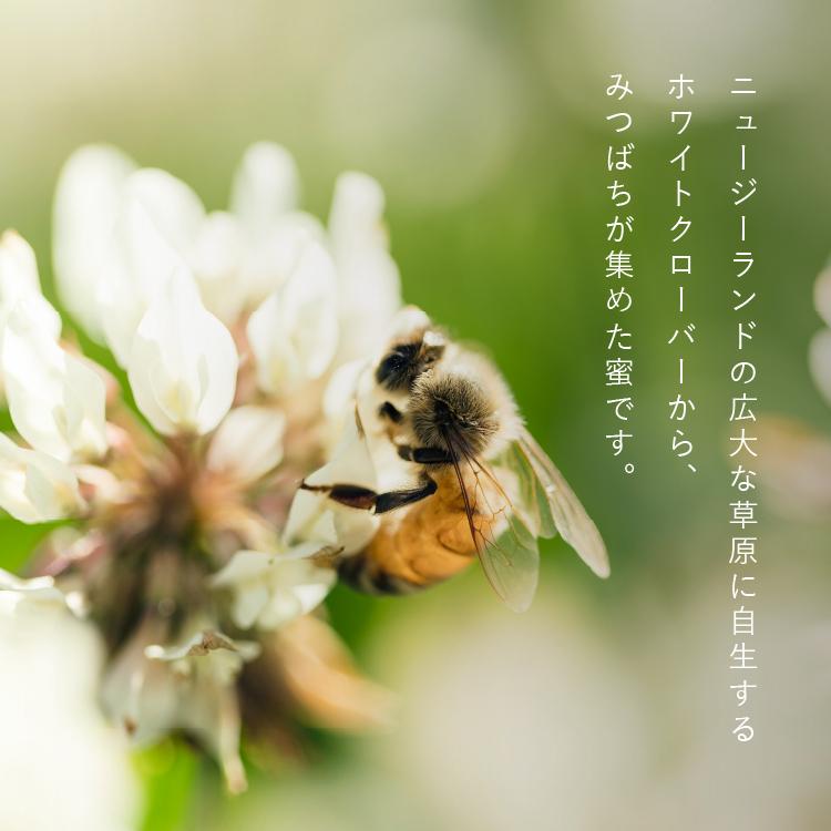 コムハニー 巣蜜 4