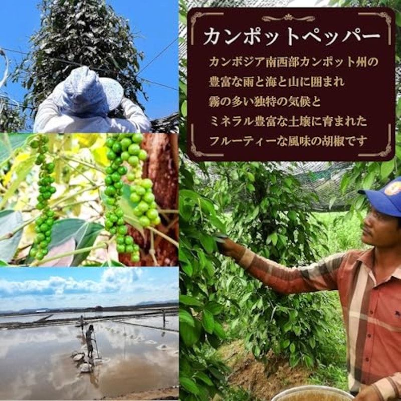 塩漬け生胡椒 4