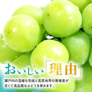 晴王 シャインマスカット ぶどう 3
