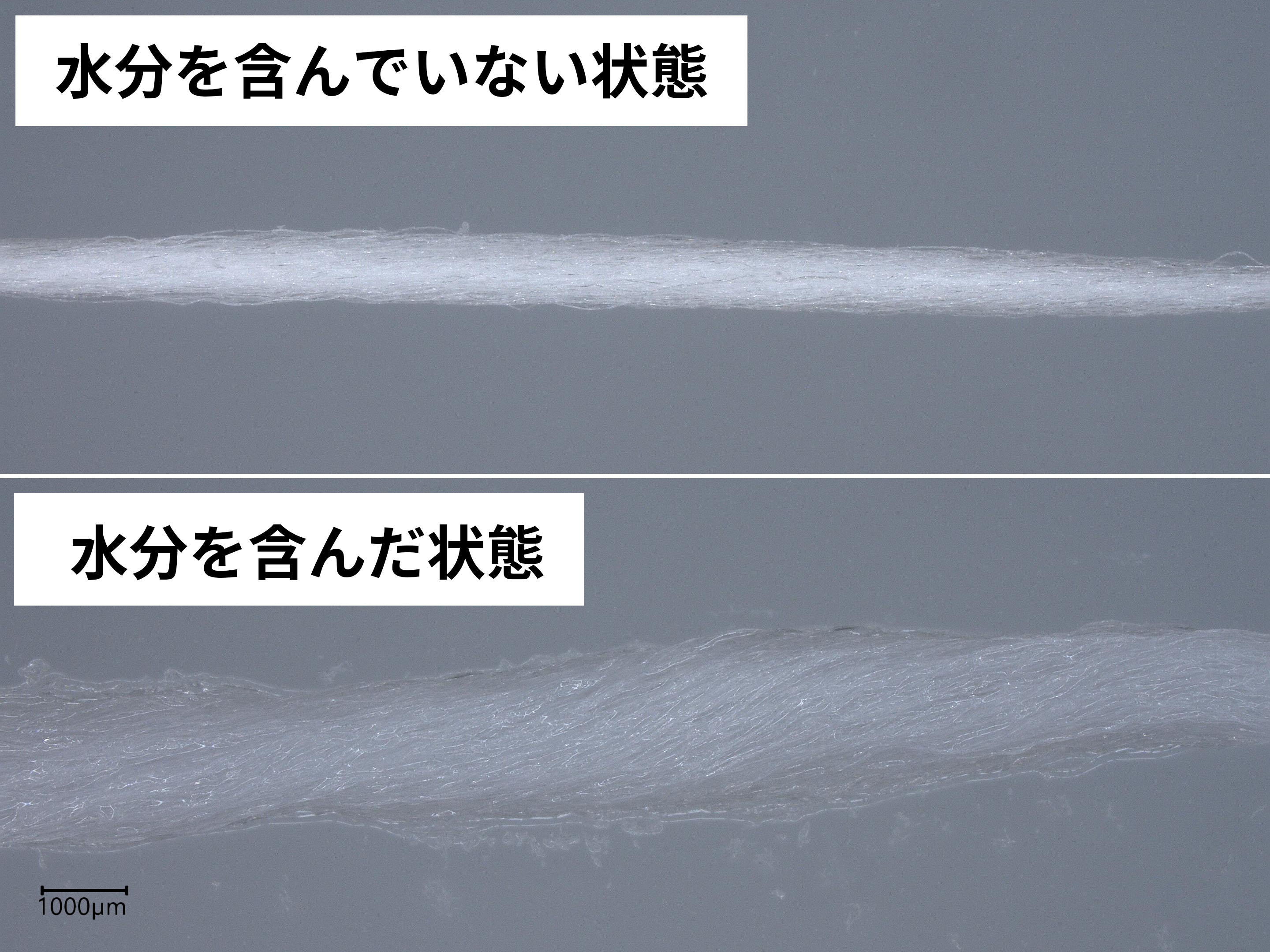 フロアフロス 3