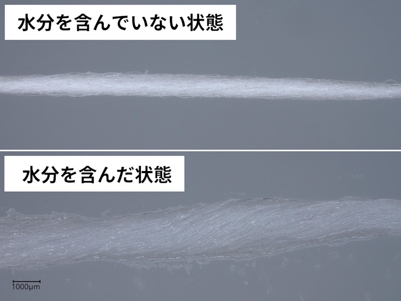 フロアフロス 3