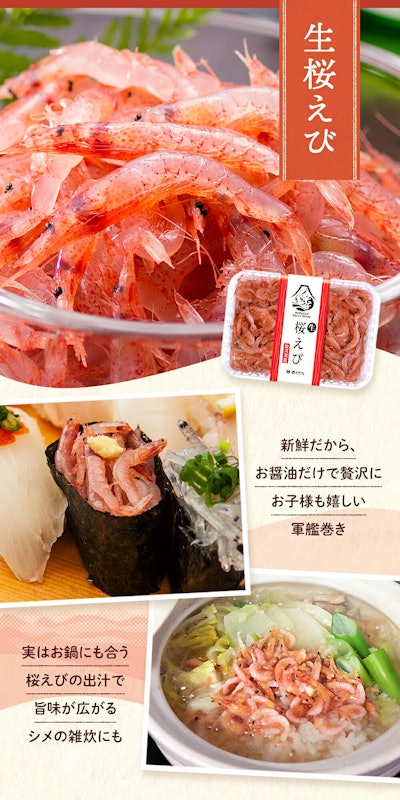 生桜えび 生しらすセット 4