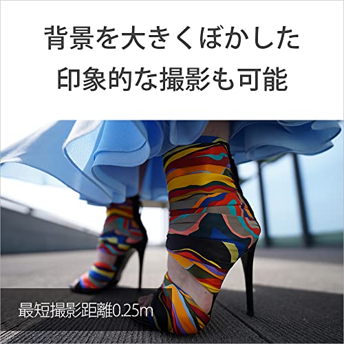 FE 14mm F1.8 GM 6