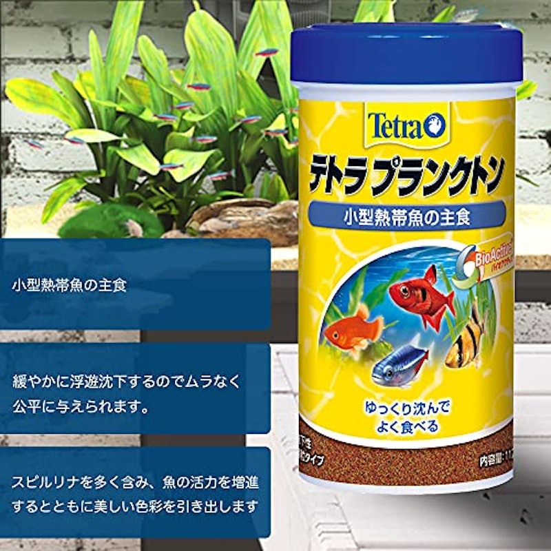 プランクトン 4