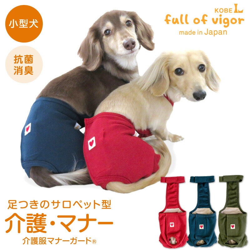 マナーパンツ 1