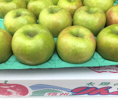 青りんご グラニースミス 3