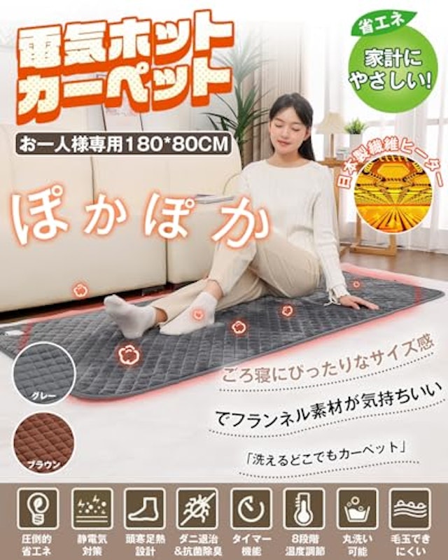 電気カーペット 2