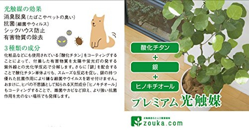 光触媒フェイクグリーン ドラセナ ワーネッキー 4