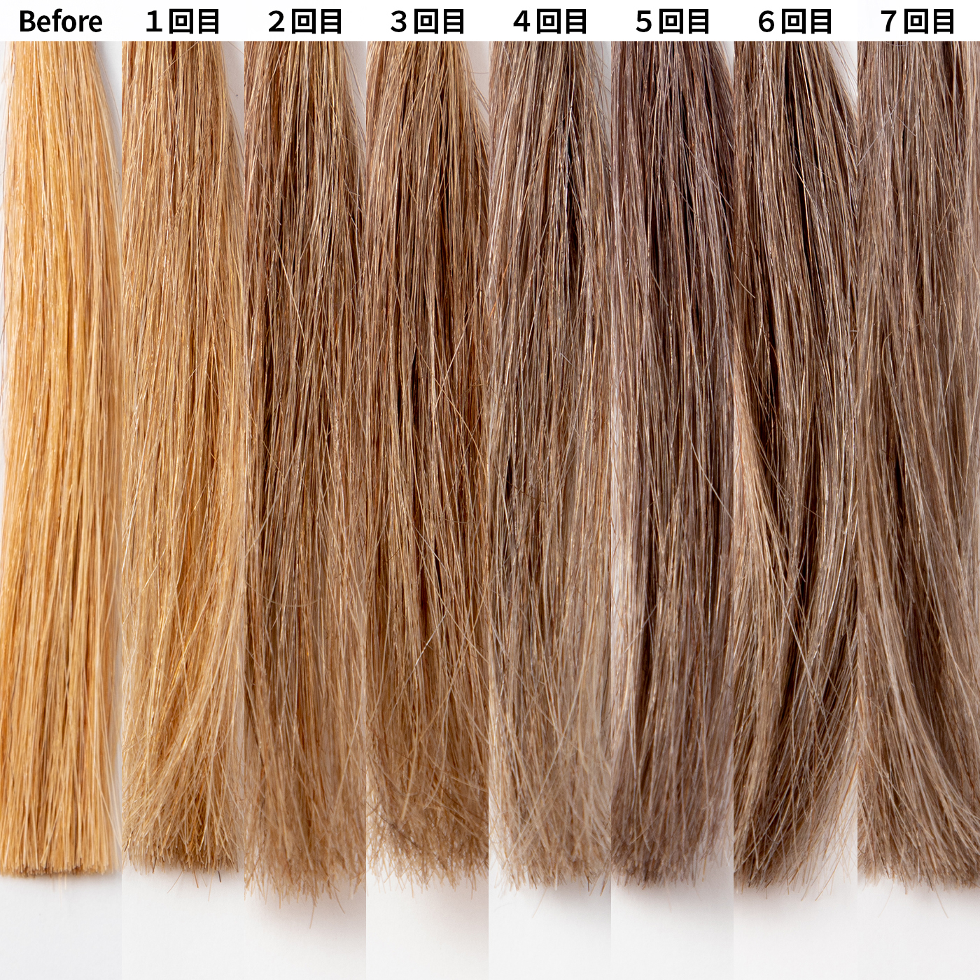 フィヨーレBLクオルシアカラー　28本セット BLカラー クオルシア グレー 5 FIOLEの通販・卸 | 4580508130219