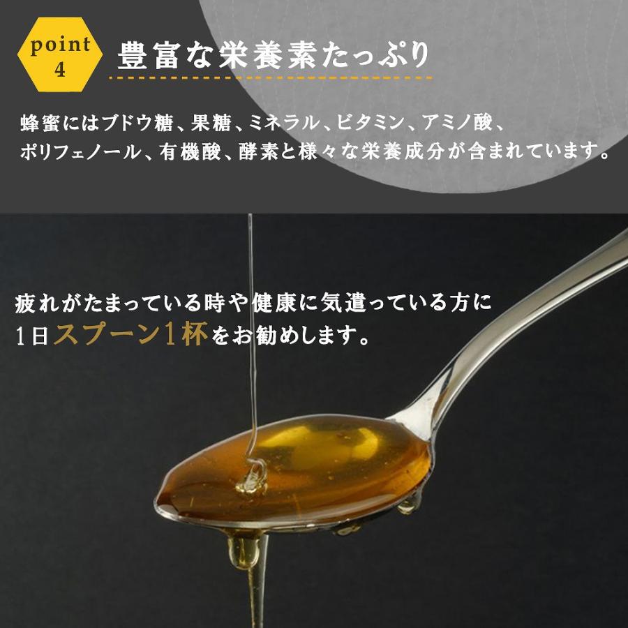 菌ちゃんげんきっこ 7