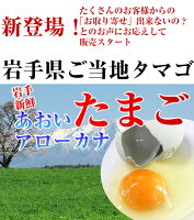鶏卵 アローカナ 3