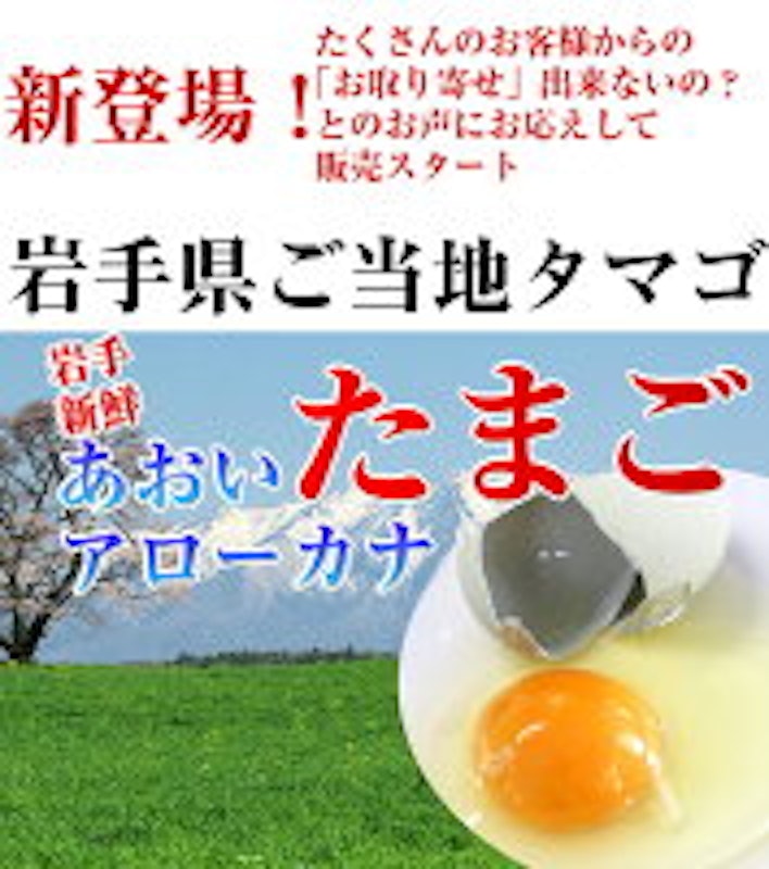 鶏卵 アローカナ 3
