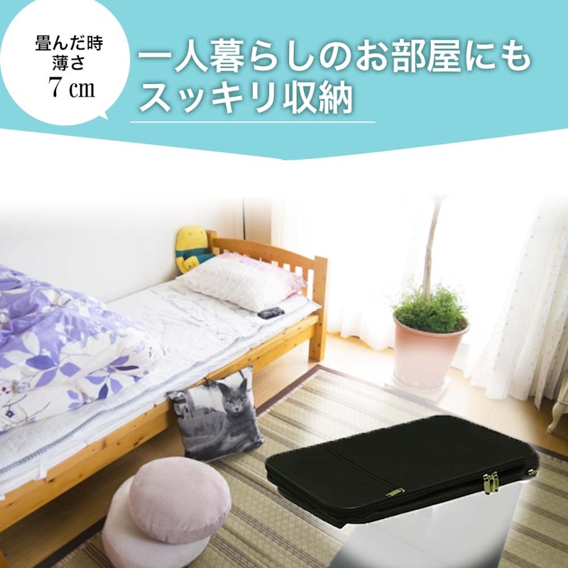 折りたたみキャリーバッグ 4