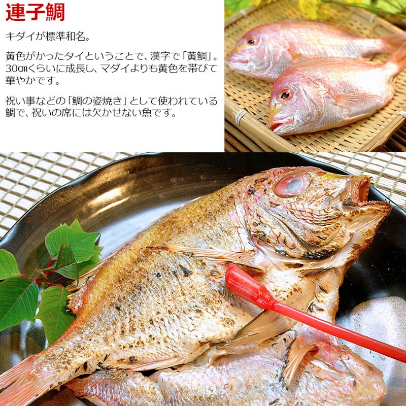 干物セット 7