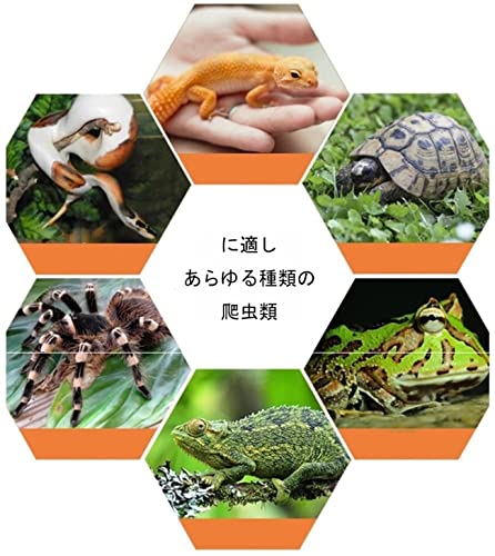 □超お勧め〜90サイズ爬虫類ゲージ、爬虫類ケージ、リクガメ、フトアゴ